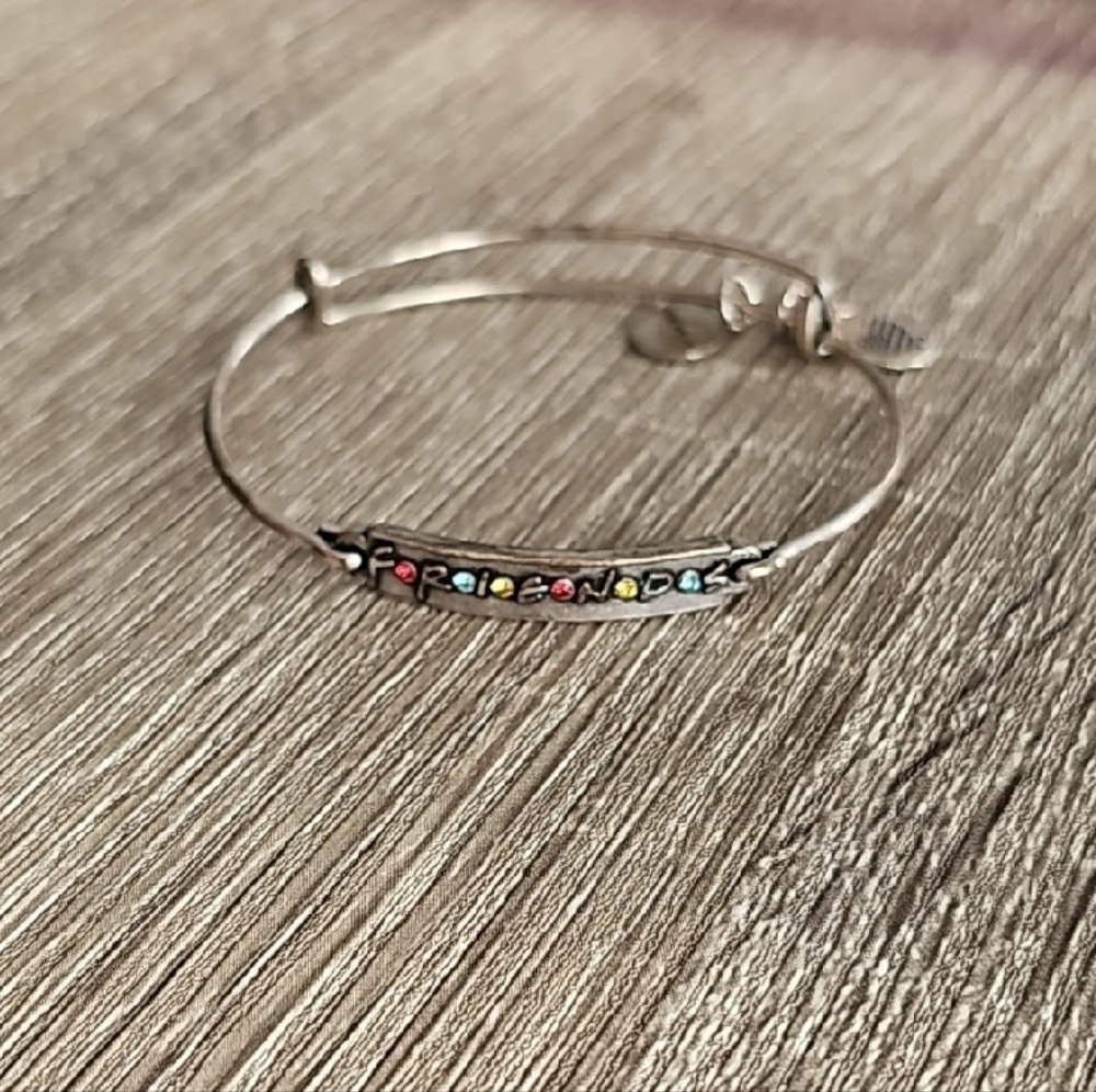 Friends Silver Bracelet with Multicolor Accents alexi and ani